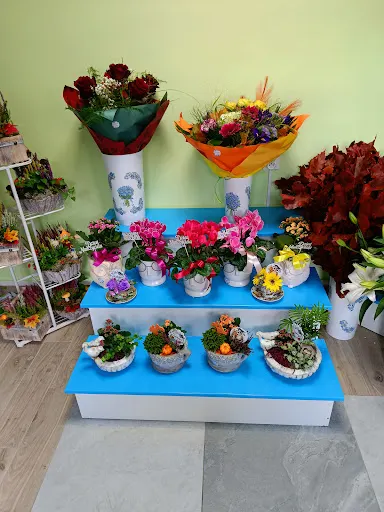 Kwiaciarnia Niezapominajka Tczew